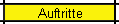 Auftritte